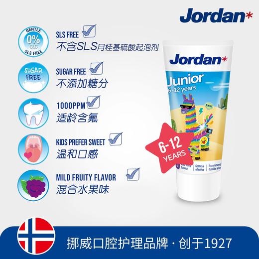 Jordan儿童牙膏（混合水果味） 商品图2