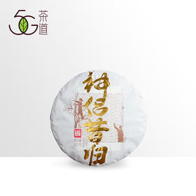 普洱生茶 | 神侣昔归 2018年 问境昔归 357g