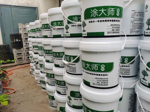 郑果丰新型果树专用涂白剂涂大师 商品图1