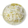 绿豆芽   500g/份 商品缩略图1
