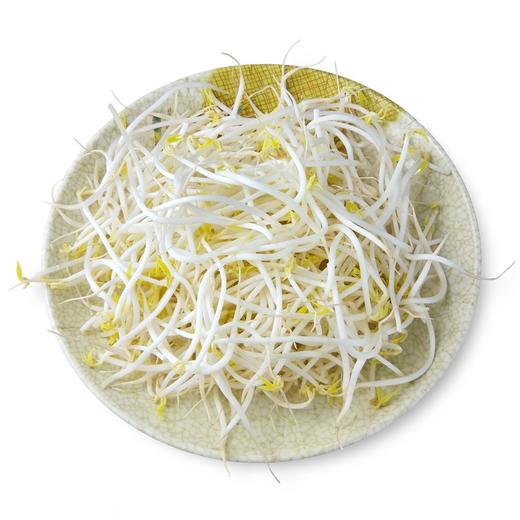 绿豆芽   500g/份 商品图1