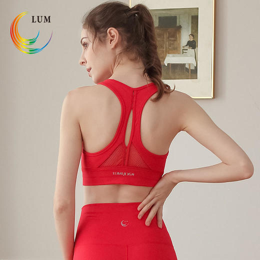 露檬2020新款拉链式运动瑜伽BRA背心LUM19117 商品图1
