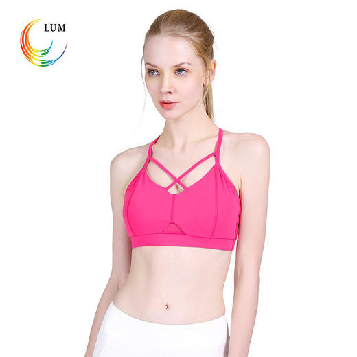 露檬瑜伽专业运动文胸无钢圈BRA聚拢美背LUM8132 商品图3
