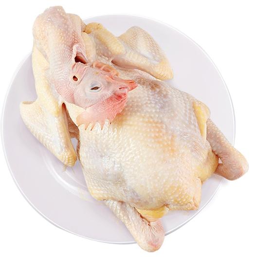 丁当果园鸡 (17.8元1斤，半边约1.2斤，如需砍块/留腿请备注） 商品图0