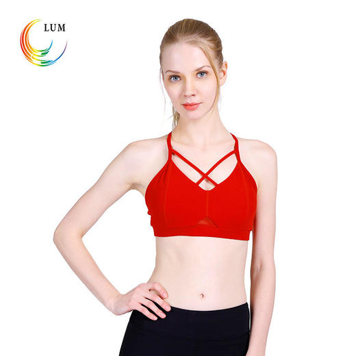 露檬瑜伽专业运动文胸无钢圈BRA聚拢美背LUM8132 商品图1