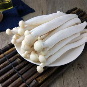 海鲜菇     250g/份