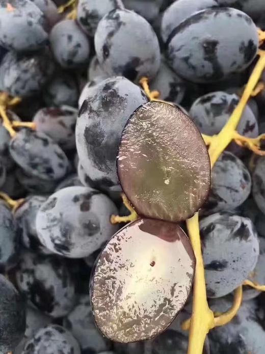 神秘梦境黑提 商品图2