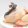 【珠三角包邮】天农散养120天清远黑脚土鸡（鲜品）800g±50g/只（次日到货） 商品缩略图4