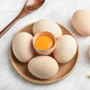 【BN】华曦乌骨土鸡蛋12枚 商品缩略图1