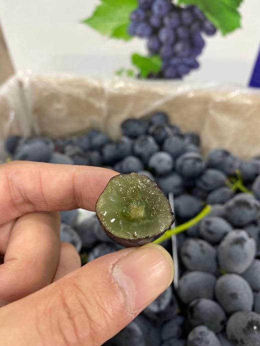 神秘梦境黑提 商品图3