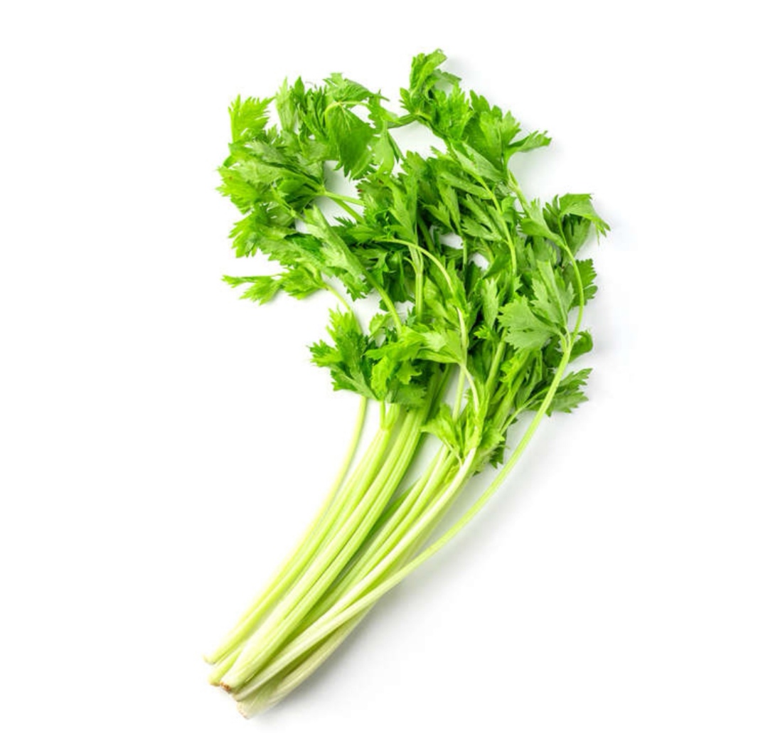 金针菇 基地优选 350g