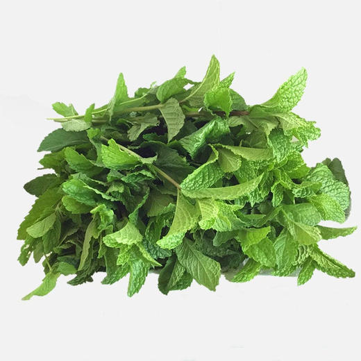 薄荷 1把 商品图1