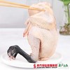 【珠三角包邮】天农散养120天清远黑脚土鸡（鲜品）800g±50g/只（次日到货） 商品缩略图1