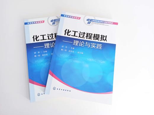 化工过程模拟——理论与实践 商品图1