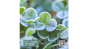 【花丘•心语】