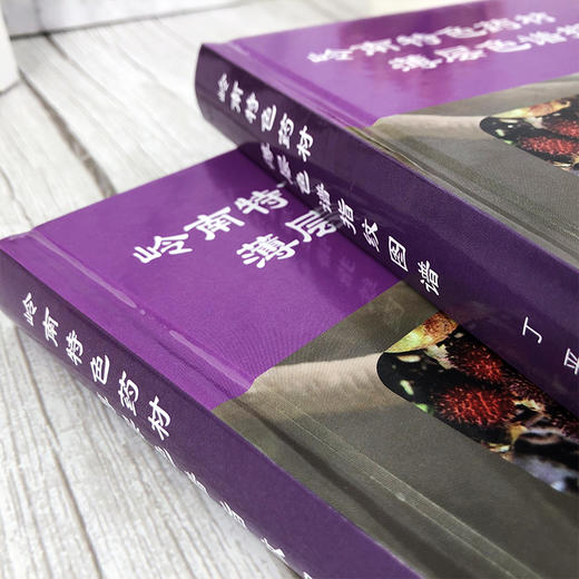 岭南特色药材薄层色谱指纹图谱 丁平 薄层色谱指纹图谱技术操作方法与应用 岭南中药材使用 中药材生产经营 中药资源开发利用书籍 商品图4