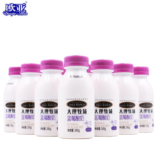 【BN】欧亚大理牧场蓝莓味酸奶   243g 商品图1