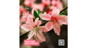 【花丘•心语】