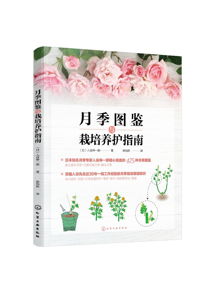 新手养花入门