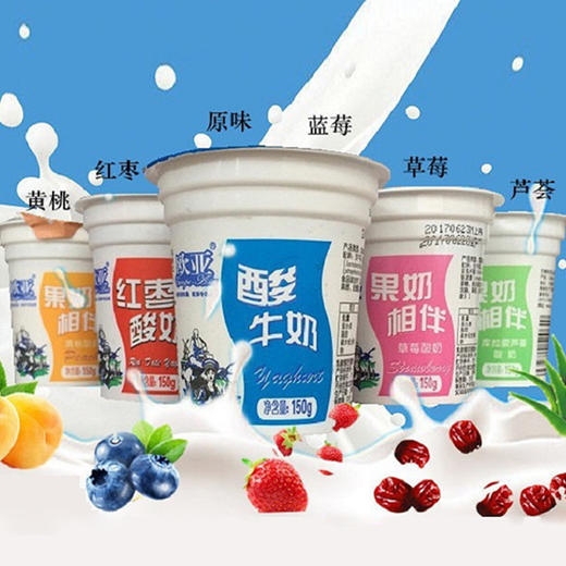 【BN】欧亚大理牧场蓝莓味酸奶   243g 商品图2