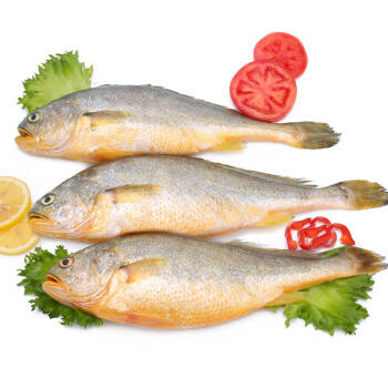 大黄花鱼散称 1kg 袋箱可选 批 商品图0