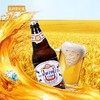 【BN】金星1982原浆啤酒1件500ml/8°P 商品缩略图4