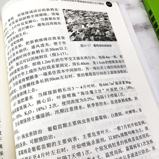果树嫁接技术书籍 果树嫁接技术全图解 果树嫁接基础知识 嫁接的时期砧木接穗工具用品方法 果树砧木嫁接苗培育方法与管理技术 商品图3