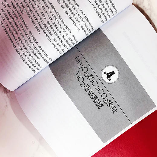 二氧化钛低压压敏陶瓷 商品图3