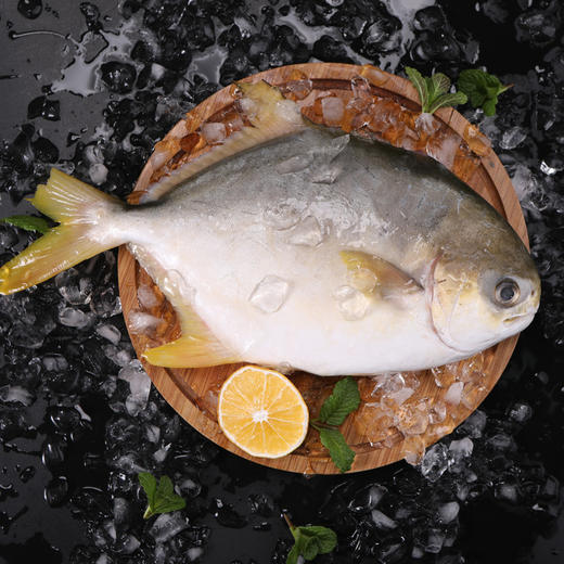 金鲳鱼/袋 批 商品图0