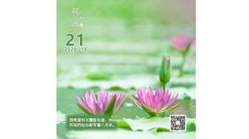 【花丘•心语】