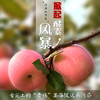 社区团购  “沂源红”酵素苹果  净重5-5.2斤/箱 商品缩略图1