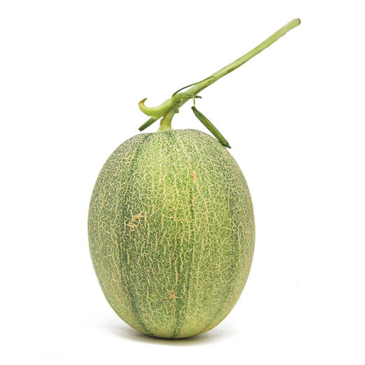 海南西州蜜瓜 甜脆爽口 饱满多汁 家庭甜蜜分享