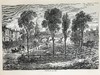 约1878年 伦敦历史风物志（全6卷） 约1200幅版画插图 真皮精装16开 商品缩略图11