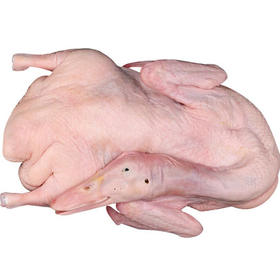 白条鸭1.3  袋箱可选  批