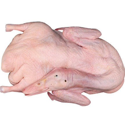 白条鸭1.3  袋箱可选  批 商品图0