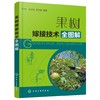 果树嫁接技术书籍 果树嫁接技术全图解 果树嫁接基础知识 嫁接的时期砧木接穗工具用品方法 果树砧木嫁接苗培育方法与管理技术 商品缩略图0