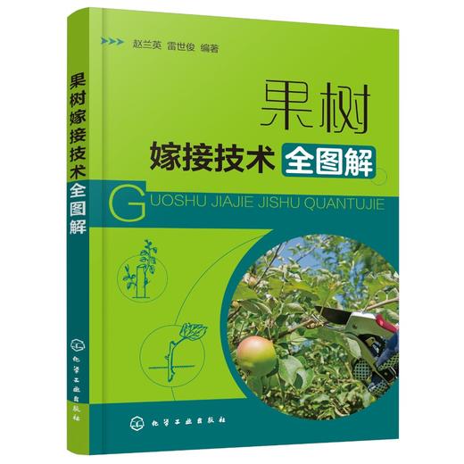 果树嫁接技术书籍 果树嫁接技术全图解 果树嫁接基础知识 嫁接的时期砧木接穗工具用品方法 果树砧木嫁接苗培育方法与管理技术 商品图0