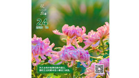 【花丘•心语】