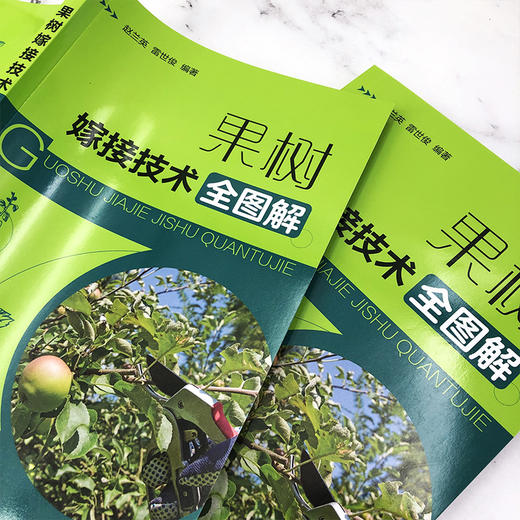 果树嫁接技术书籍 果树嫁接技术全图解 果树嫁接基础知识 嫁接的时期砧木接穗工具用品方法 果树砧木嫁接苗培育方法与管理技术 商品图4
