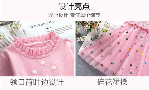 ALBL-2020新款时尚洋气圆领长袖上衣网纱印花公主裙两件套 商品图4