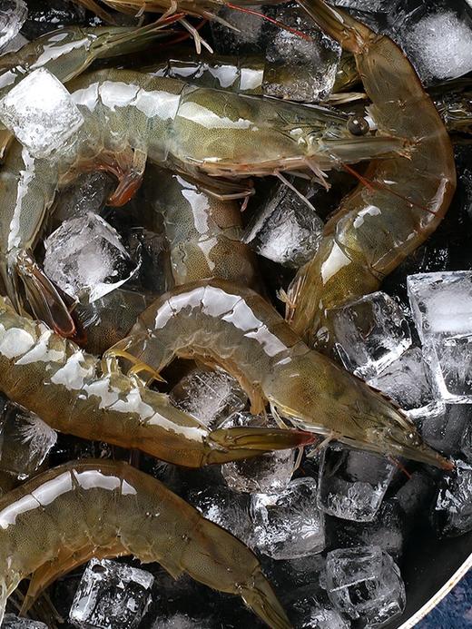 去头青虾散称1kg  批 商品图0