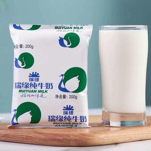 瑞源纯牛奶 商品图3