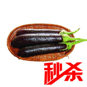 秒杀【时令蔬菜】长茄子500g±20g