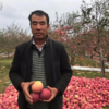 积分兑换丨精选 | 陕西洛川富士丑苹果 脆甜可口 肉厚多汁 现摘现发 新鲜直达 商品缩略图0