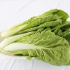 小白菜 500g （蔬菜） 商品缩略图0