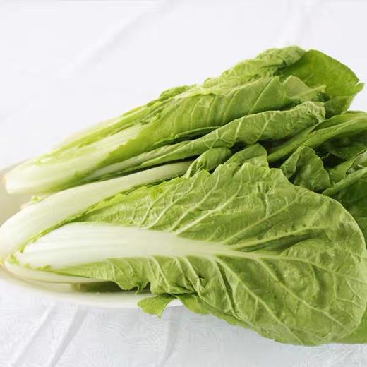 小白菜 500g （蔬菜） 商品图0