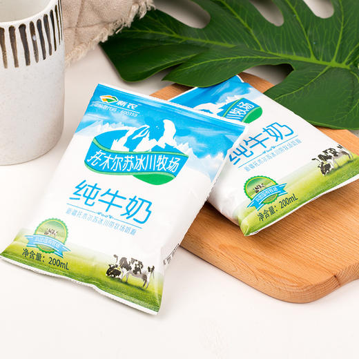 新农纯牛奶200ml*20袋装 商品图0