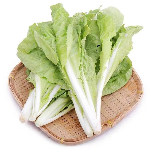 小白菜 500g （蔬菜） 商品图1