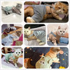 冬季猫衣服秋冬四脚猫咪网红可爱背带猫猫小狗狗泰迪保暖宠物冬装 商品缩略图3