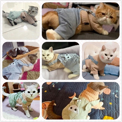 冬季猫衣服秋冬四脚猫咪网红可爱背带猫猫小狗狗泰迪保暖宠物冬装 商品图3